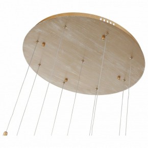 Подвесной светильник ST-Luce SL1116 SL1116.203.09 в Нытве - nytva.mebel24.online | фото 4