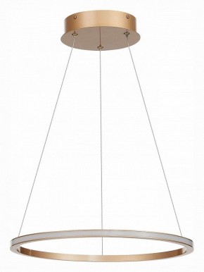 Подвесной светильник ST-Luce ST604 OUT ST604.243.22 в Нытве - nytva.mebel24.online | фото 2