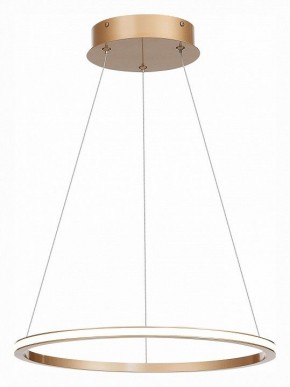 Подвесной светильник ST-Luce ST604 OUT ST604.243.22 в Нытве - nytva.mebel24.online | фото 3