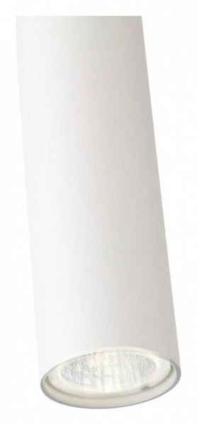 Подвесной светильник ST-Luce Tuore SL1592.503.01 в Нытве - nytva.mebel24.online | фото 11