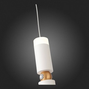 Подвесной светильник ST-Luce Tuore SL1592.503.01 в Нытве - nytva.mebel24.online | фото 5