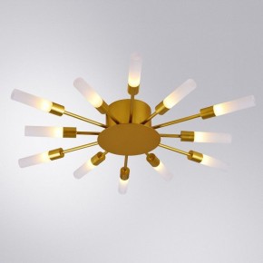 Потолочная люстра Arte Lamp Maple A1276PL-12GO в Нытве - nytva.mebel24.online | фото 1