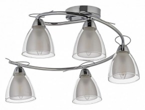 Потолочная люстра Arti Lampadari Paola, Tavenna Nickel Paola E 1.1.5 N в Нытве - nytva.mebel24.online | фото