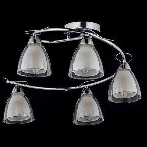 Потолочная люстра Arti Lampadari Paola, Tavenna Nickel Paola E 1.1.5 N в Нытве - nytva.mebel24.online | фото 2
