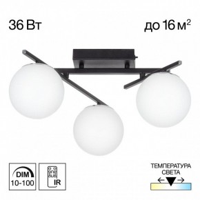 Потолочная люстра Citilux Dorsy CL223132 в Нытве - nytva.mebel24.online | фото 10