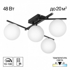 Потолочная люстра Citilux Dorsy CL223142 в Нытве - nytva.mebel24.online | фото 9