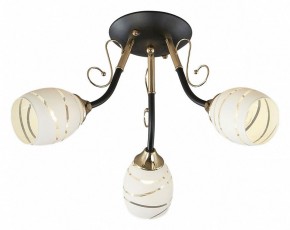 Потолочная люстра Escada Camila 1112/3P в Нытве - nytva.mebel24.online | фото 1