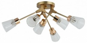 Потолочная люстра Escada Felicia 1137/6P в Нытве - nytva.mebel24.online | фото
