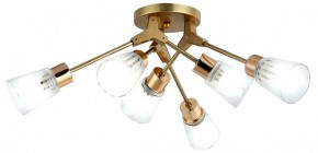 Потолочная люстра Escada Felicia 1137/6P в Нытве - nytva.mebel24.online | фото 2