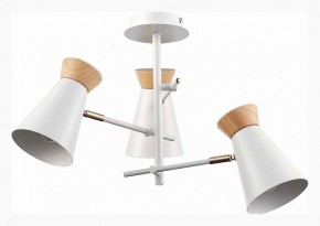 Потолочная люстра EVOLUCE Alfeo SLE1252-502-03 в Нытве - nytva.mebel24.online | фото 2