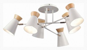 Потолочная люстра EVOLUCE Alfeo SLE1252-502-06 в Нытве - nytva.mebel24.online | фото