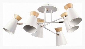 Потолочная люстра EVOLUCE Alfeo SLE1252-502-06 в Нытве - nytva.mebel24.online | фото 2