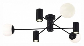 Потолочная люстра EVOLUCE Raito SLE1105-402-06 в Нытве - nytva.mebel24.online | фото