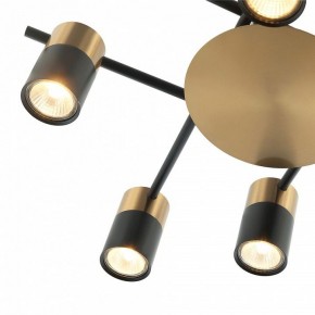 Потолочная люстра Favourite Topper 2825-8P в Нытве - nytva.mebel24.online | фото 3
