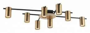 Потолочная люстра Favourite Topper 2827-8P в Нытве - nytva.mebel24.online | фото 2