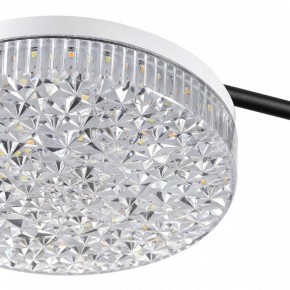 Потолочная люстра Lumion Didana 8236/4CL в Нытве - nytva.mebel24.online | фото 10