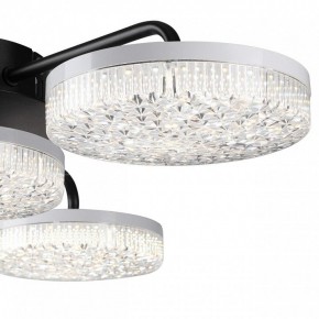 Потолочная люстра Lumion Didana 8236/4CL в Нытве - nytva.mebel24.online | фото 7