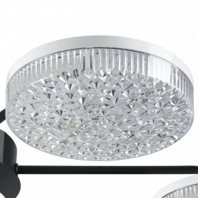 Потолочная люстра Lumion Didana 8236/7CL в Нытве - nytva.mebel24.online | фото 9