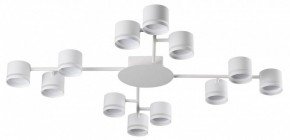 Потолочная люстра Lumion Gareta 8235/12C в Нытве - nytva.mebel24.online | фото