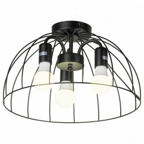 Потолочная люстра Lussole Lattice 1 GRLSP-8215 в Нытве - nytva.mebel24.online | фото