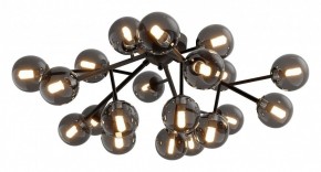 Потолочная люстра Maytoni Dallas MOD545CL-20B в Нытве - nytva.mebel24.online | фото 2