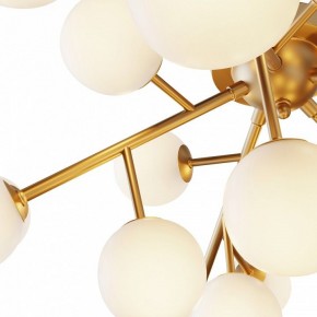 Потолочная люстра Maytoni Dallas MOD545CL-20BS в Нытве - nytva.mebel24.online | фото 2