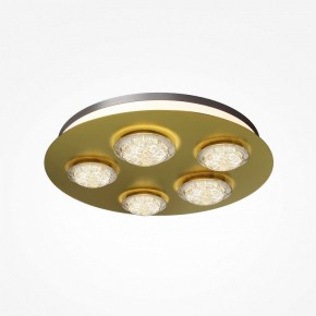 Потолочная люстра Maytoni Pharao MOD361CL-L58BS3K в Нытве - nytva.mebel24.online | фото