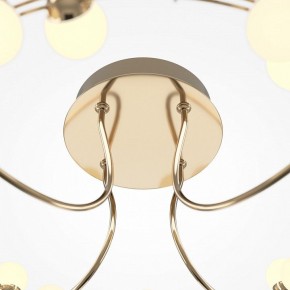 Потолочная люстра Maytoni Tessara MOD081CL-L36G3K в Нытве - nytva.mebel24.online | фото 4