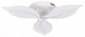Потолочная люстра Natali Kovaltseva Sirius LED LAMPS 81164 в Нытве - nytva.mebel24.online | фото