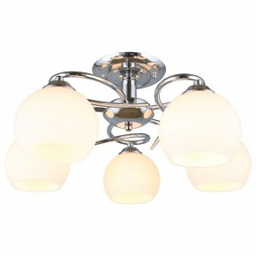 Потолочная люстра Omnilux Casoria OML-25107-05 в Нытве - nytva.mebel24.online | фото 2