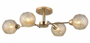 Потолочная люстра Rivoli Amalia Б0050815 в Нытве - nytva.mebel24.online | фото 3