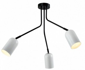 Потолочная люстра Rivoli Rosalinda Б0064987 в Нытве - nytva.mebel24.online | фото 2