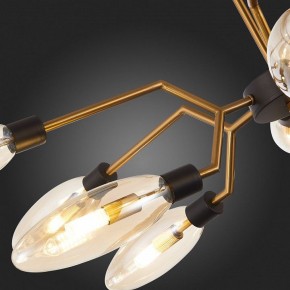 Потолочная люстра ST-Luce Desima SL1174.303.12 в Нытве - nytva.mebel24.online | фото 10