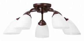 Потолочная люстра Vitaluce V3184 V3252/5PL в Нытве - nytva.mebel24.online | фото