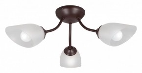 Потолочная люстра Vitaluce V3184 V3404/3PL в Нытве - nytva.mebel24.online | фото