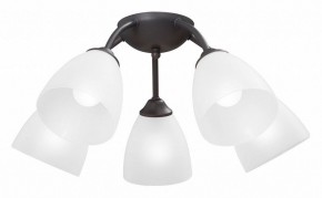 Потолочная люстра Vitaluce V3184 V3737-2/5PL в Нытве - nytva.mebel24.online | фото