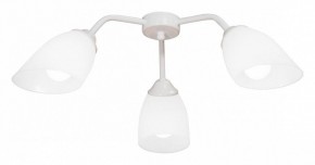 Потолочная люстра Vitaluce V31950 V31950/3PL в Нытве - nytva.mebel24.online | фото