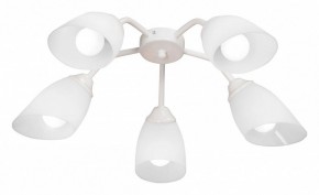 Потолочная люстра Vitaluce V31950 V31950/5PL в Нытве - nytva.mebel24.online | фото