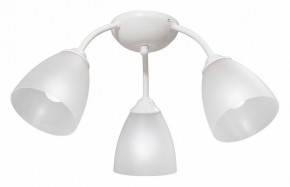 Потолочная люстра Vitaluce V3737 V3737-0/3PL в Нытве - nytva.mebel24.online | фото