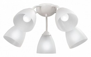 Потолочная люстра Vitaluce V3737 V3737-0/5PL в Нытве - nytva.mebel24.online | фото