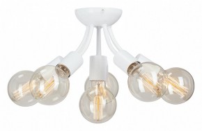 Потолочная люстра Vitaluce V3927 V3927-0/6PL в Нытве - nytva.mebel24.online | фото