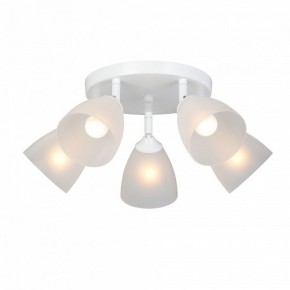 Потолочная люстра Vitaluce V4355 V4355-0/5PL в Нытве - nytva.mebel24.online | фото 2