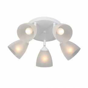 Потолочная люстра Vitaluce V4355 V4355-0/5PL в Нытве - nytva.mebel24.online | фото 3