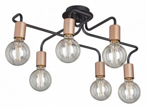 Потолочная люстра Vitaluce V4560 V4560-1/6PL в Нытве - nytva.mebel24.online | фото