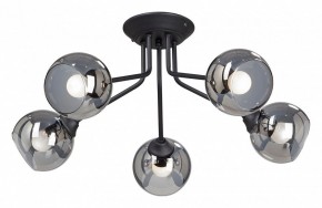 Потолочная люстра Vitaluce  V4724-1/5PL в Нытве - nytva.mebel24.online | фото