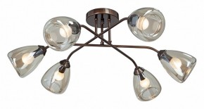 Потолочная люстра Vitaluce  V4954-7/6PL в Нытве - nytva.mebel24.online | фото