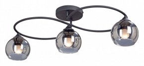 Потолочная люстра Vitaluce  V4965-1/3PL в Нытве - nytva.mebel24.online | фото