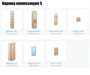 Прихожая Карина (модульная) в Нытве - nytva.mebel24.online | фото 2