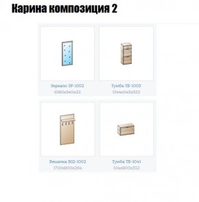 Прихожая Карина (модульная) в Нытве - nytva.mebel24.online | фото 6