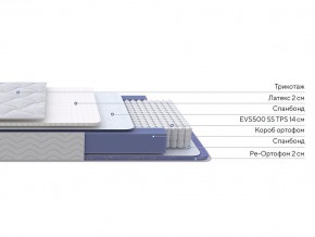 PROxSON Матрас Active Duo S/F (Ткань Трикотаж Эко) 120x200 в Нытве - nytva.mebel24.online | фото 2